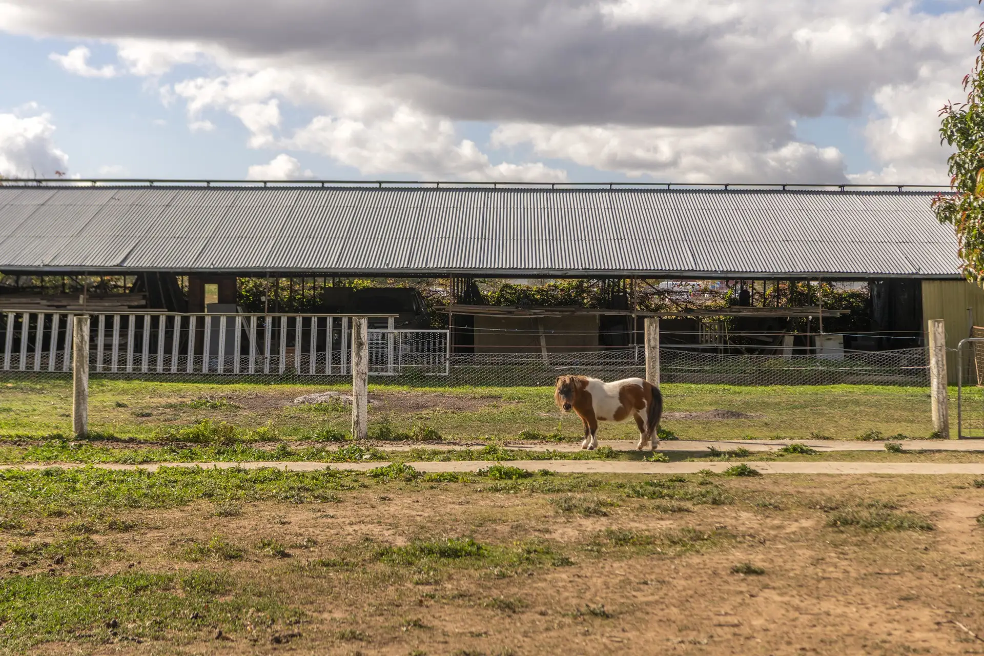 13 Beltana Road, Pialligo For Sale by Canberra Sotheby's International Realty - image 1