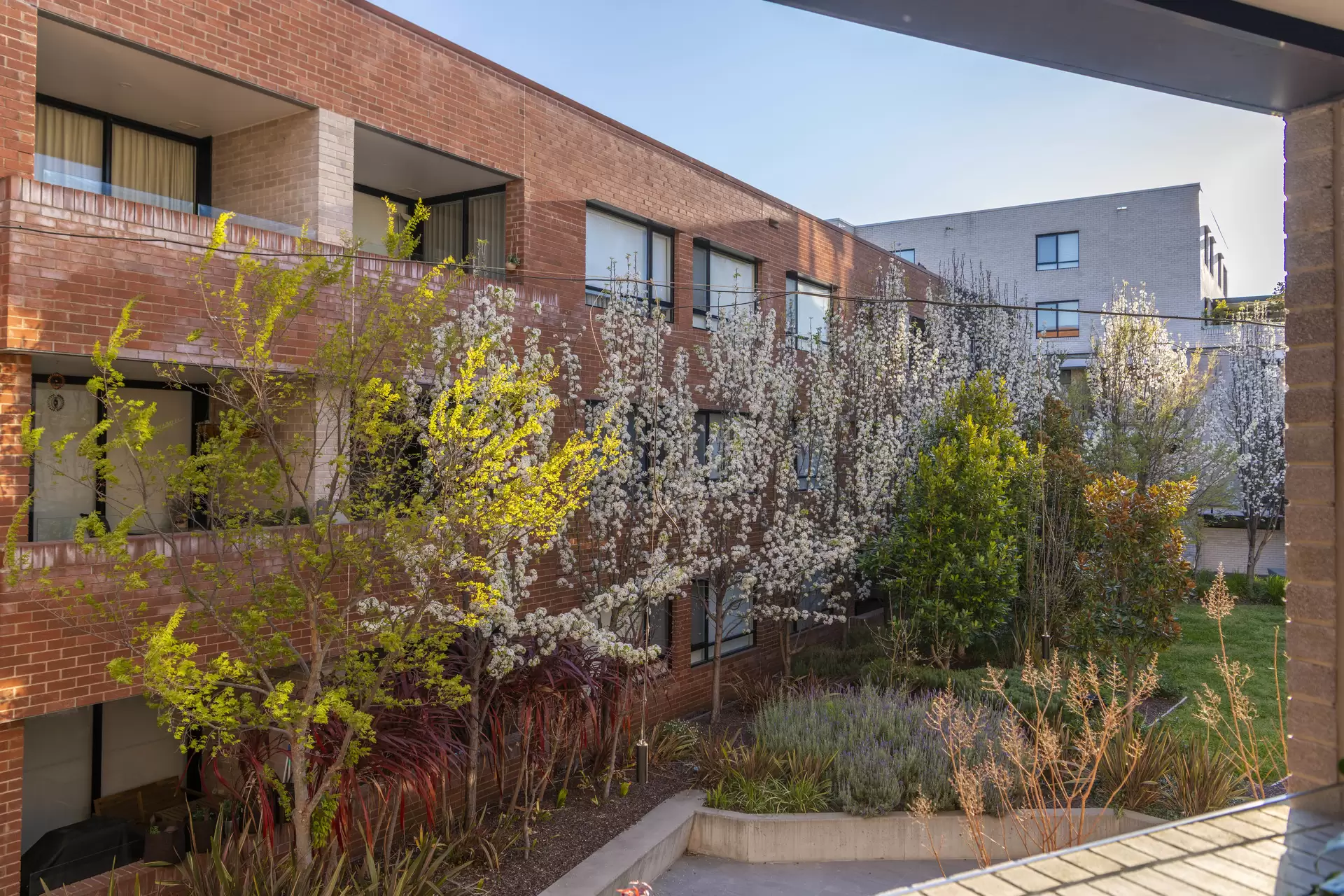 219/2 Kerridge Street, Kingston For Sale by Canberra Sotheby's International Realty - image 1
