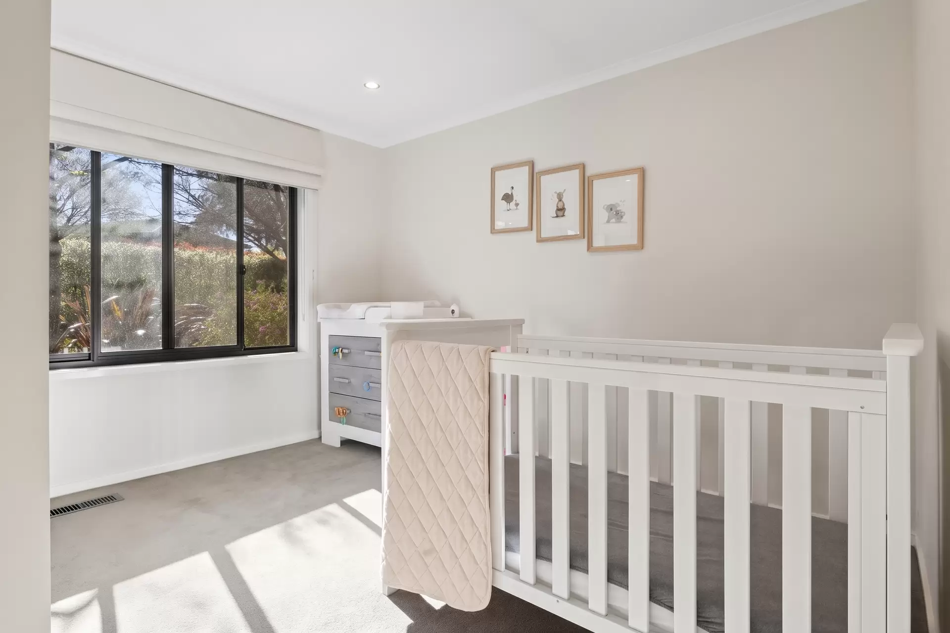 12 Frankland Street, Holder For Lease by Canberra Sotheby's International Realty - image 1